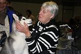 ADULTE ET CHIEN 209